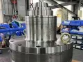Reductor cicloidal para centrífugas